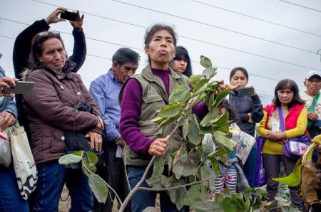 el-centro-ecologico-hecho-por-mujeres-en-san-juan-de-lurigancho