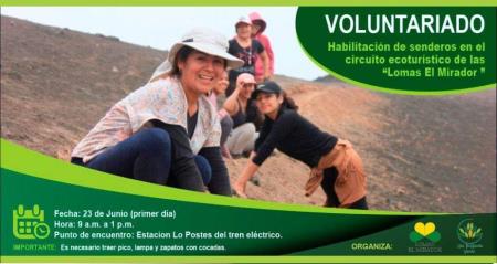 Organizan voluntariado para la protección de Lomas en SJL