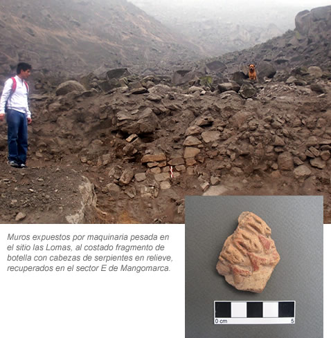 Muros expuestos en el sitio las Lomas, al costado fragmento de botella con cabezas de serpientes en relieve