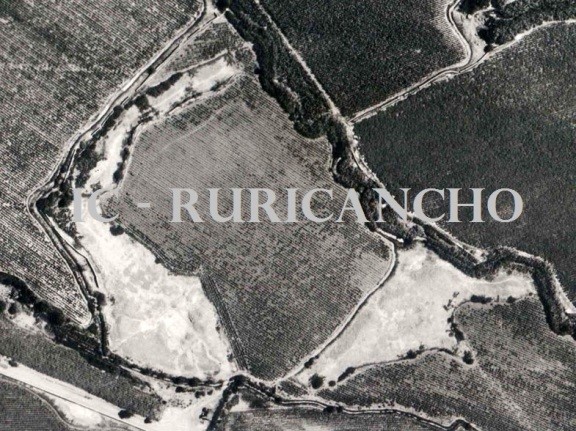 Foto aérea del Servicio Aerofotográfico Nacional, 1945.