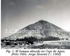 El bosque situado en Caja de Agua