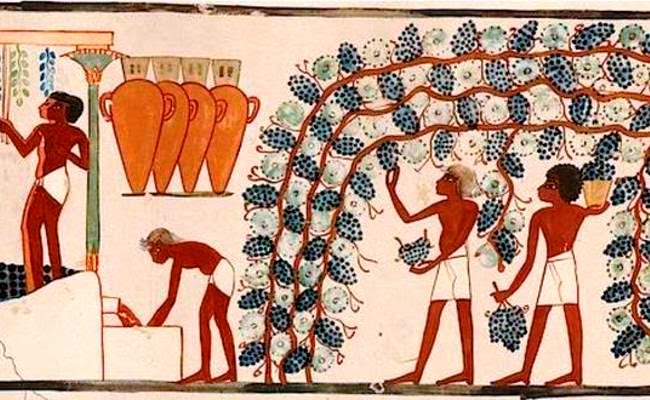 Representación de la cosecha de uvas en el antiguo Egipto