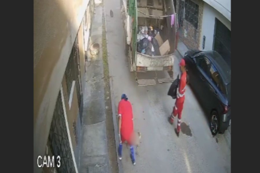 Separan a trabajadores municipales que atropellaron a perrito y arrojaron sus restos a la basura