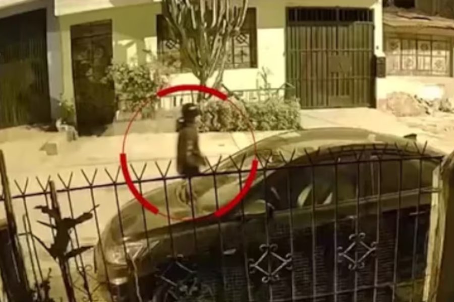Asesinan a universitaria de 20 años por resistirse al robo de su celular cerca de la estación Bayóvar