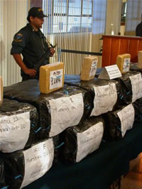 PNP incauto 39 kilos186 gramos de droga en solo un mes