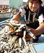 Anchoveta a solo 50 céntimos