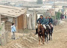 Adquirirán caballos para patrullar en SJL