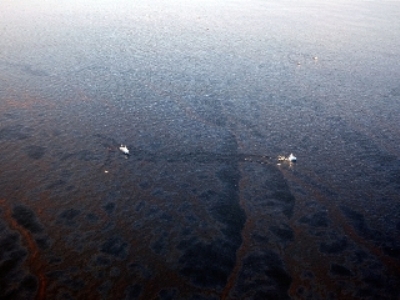 Derrame de petróleo llega a las costas del sur de EE. UU.