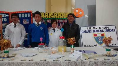 ¿Recuerdas tu proyecto escolar?