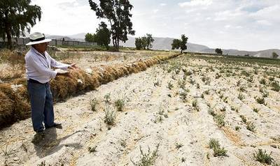 La agricultura en su etapa crítica: no hay agua para regar sembríos