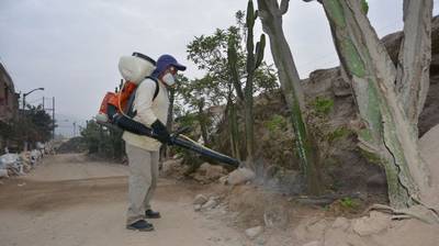 SJL: fumigan casas tras desborde de río Huaycoloro