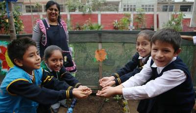 Conoce el colegio que recicla el agua de los baños para regar biohuerto