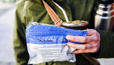 Se agotó la marihuana en farmacias de Montevideo en menos de 24 horas