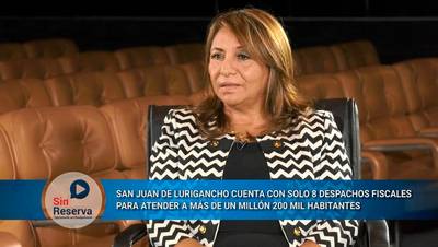 Fiscal de Lima Este: Ni trabajando 24 horas al día podríamos bajar la carga