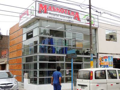 Denuncian presunta negligencia médica tras muerte de perrita en veterinaria de Zárate