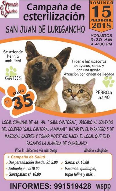 Campaña de esterilización de mascotas en San Juan de Lurigancho