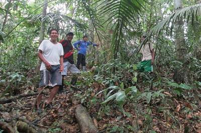 Comunidad Dinamarca juega partido clave contra la deforestación en Perú