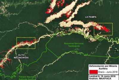 Minería ilegal de oro destruye en la selva área equivalente a 2.300 canchas de fútbol
