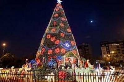 Ministra del ambiente inaugurará el primer árbol creado con material reciclable en San Juan de Lurigancho