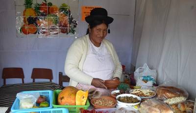 Puno: retiran gaseosas y golosinas de quioscos para combatir la anemia en colegio