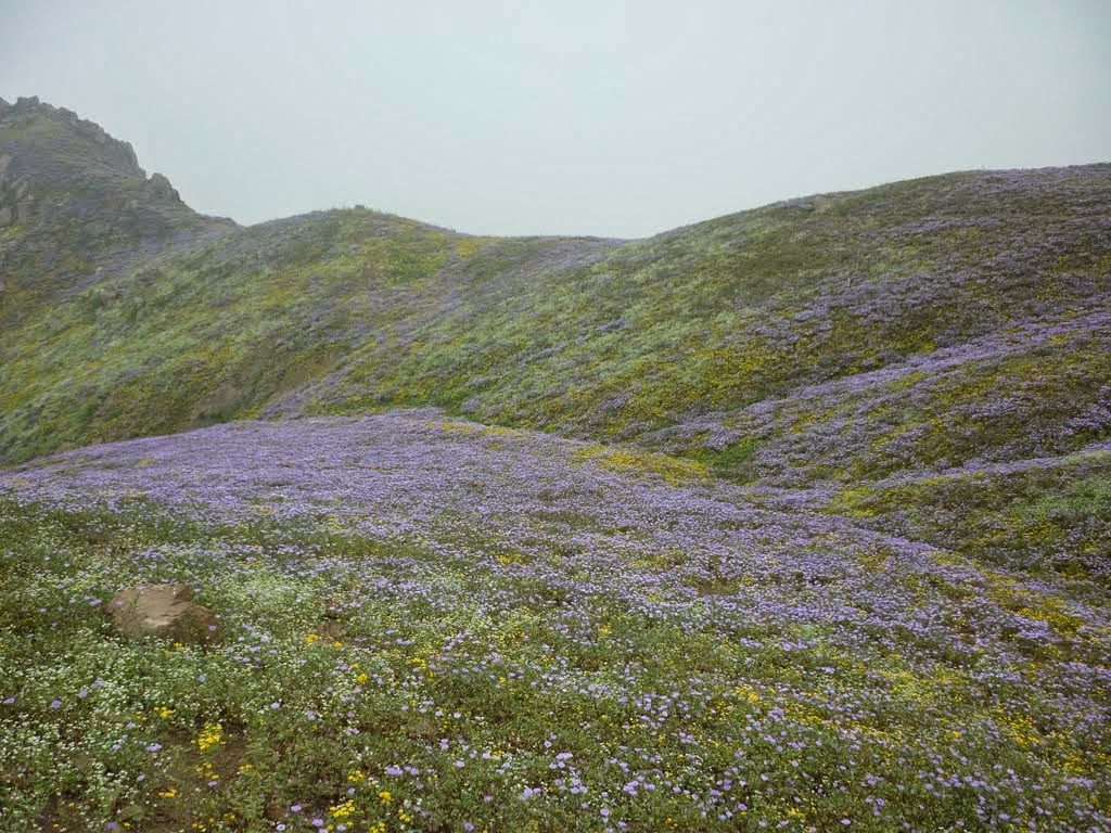 Atardecer en las Lomas